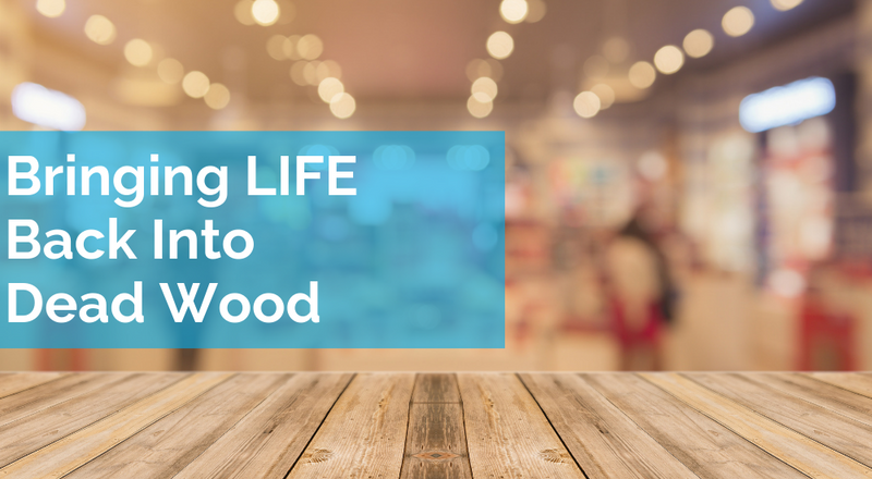 Bringing LIFE Back Into Dead Wood